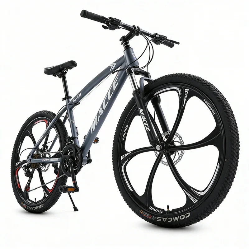 Adult Gray Six-Spoke High-End  - Cycling Low Gear reseña y precio