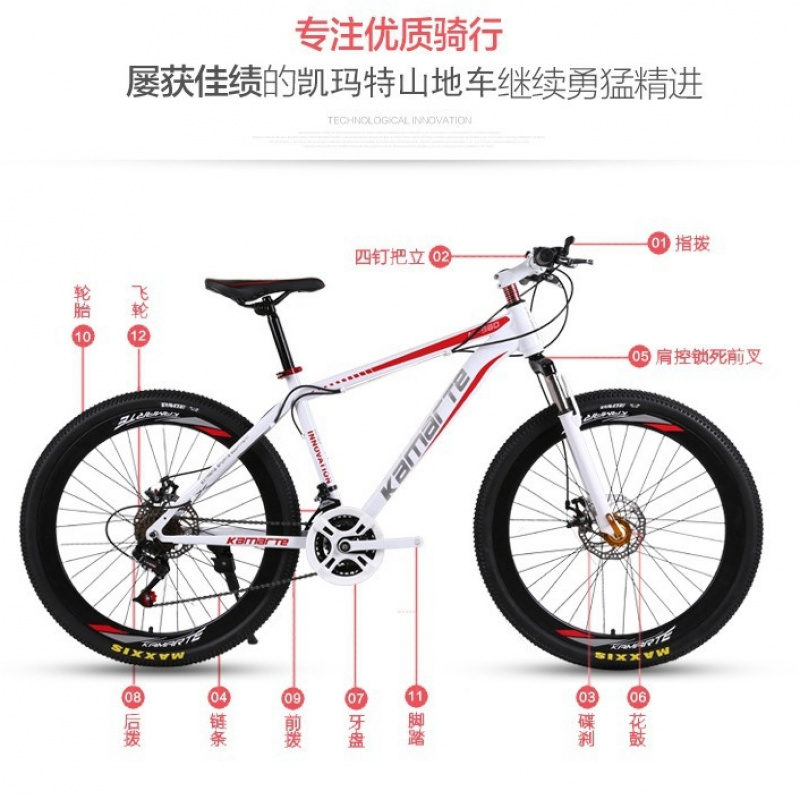 26-inch Youth & Adult Mountain - Cycling Low Gear reseña y precio