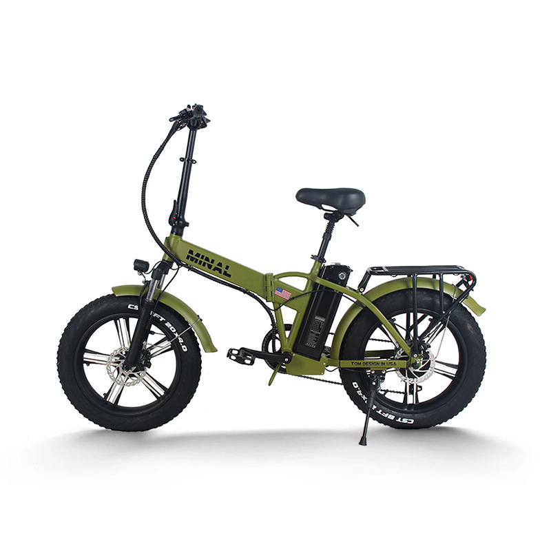 48V 350W 10.5Ah FTC200 Electri - Cycling Gear And Equipment reseña y precio