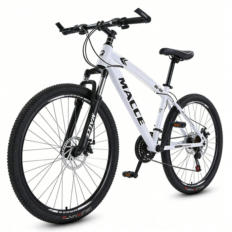 White Spoke High - Spec New Ou - Cycling Low Gear reseña y precio