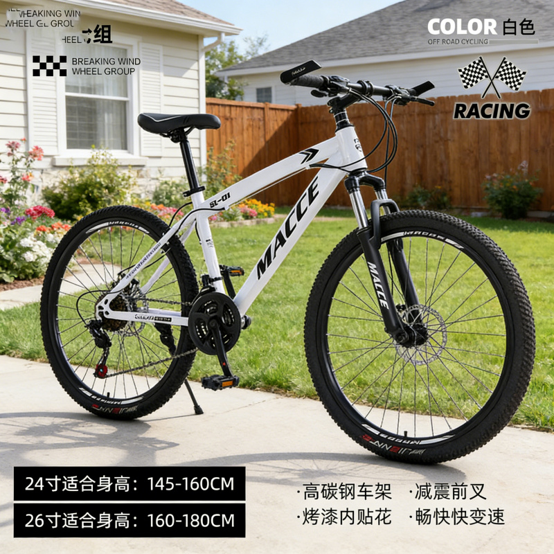 White Spoke High - Spec New Ou - Cycling Low Gear reseña y precio